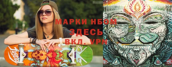 сатива Мегион