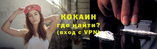сатива Мегион
