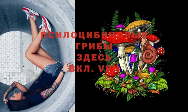 герыч Медвежьегорск