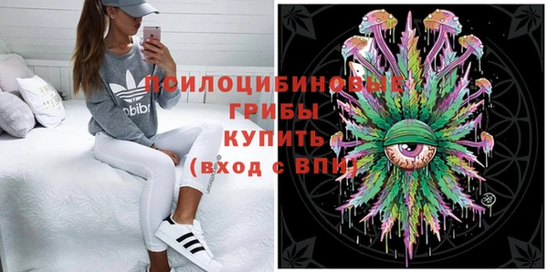 сатива Мегион