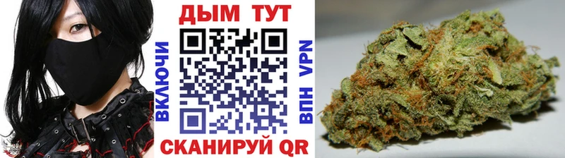 цены наркотик  Ясный  Конопля гибрид 